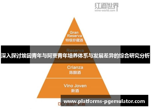 深入探讨埃因青年与阿贾青年培养体系与发展差异的综合研究分析