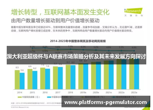 澳大利亚超级杯与A联赛市场策略分析及其未来发展方向探讨 澳大利亚超级杯与A联赛市场策略分析及其未来发展方向探讨