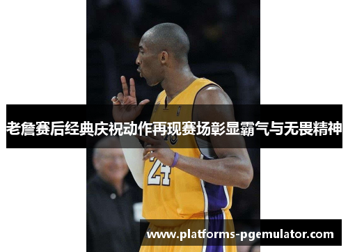 老詹赛后经典庆祝动作再现赛场彰显霸气与无畏精神